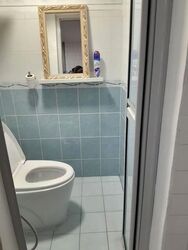 Blk 9 Holland Avenue (Queenstown), HDB 3 Rooms #537097721
